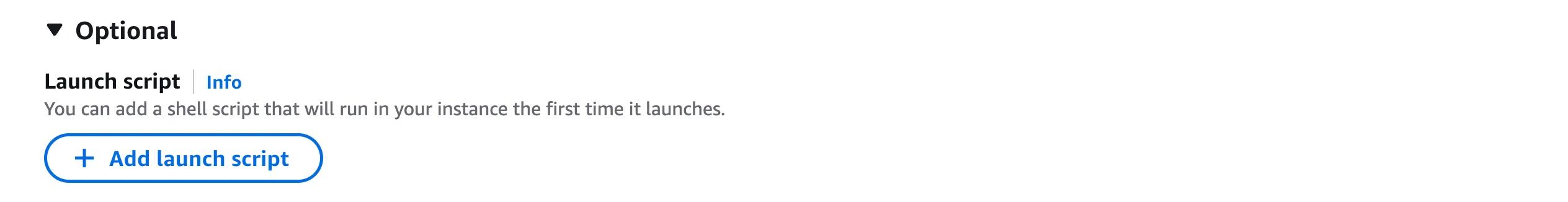 Lightsail console: add launch script